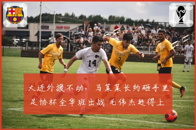 大连外援不动，马莱莱长约砸手里 足协杯全华班出战 毛伟杰赶得上