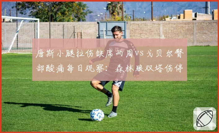 唐斯小腿拉伤缺席两周vs戈贝尔臀部酸痛每日观察：森林狼双塔伤停时间轴