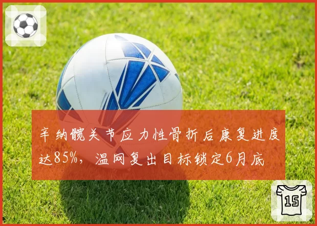 辛纳髋关节应力性骨折后康复进度达85%，温网复出目标锁定6月底